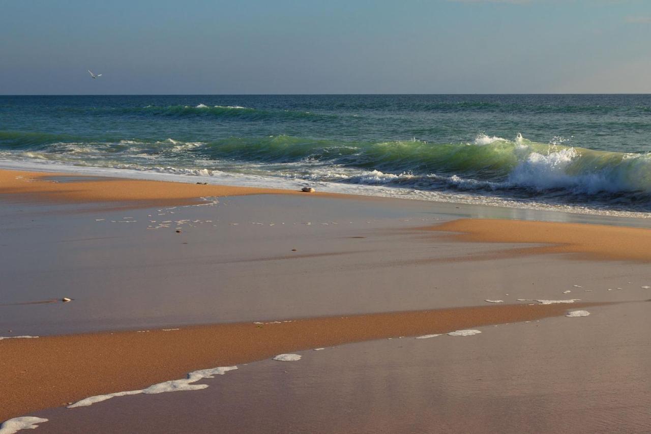 La Rose Allass Grand-Village-Plage المظهر الخارجي الصورة